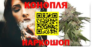 прущие крисы Можга