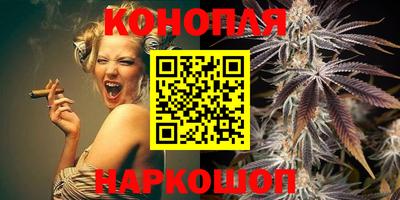 прущие крисы Можга