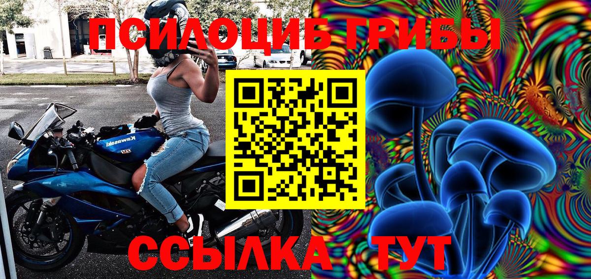 Псилоцибиновые грибы GOLDEN TEACHER Дербент