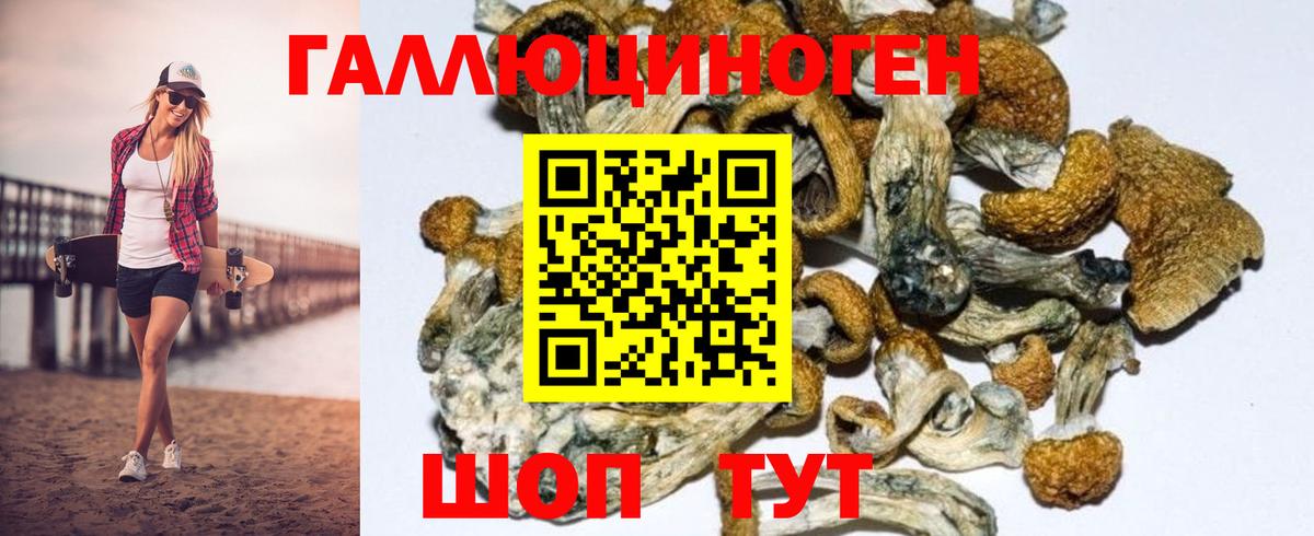 Галлюциногенные грибы мухоморы  Псилоцибиновые грибы Psilocybe  Дербент  Вход с VPN 