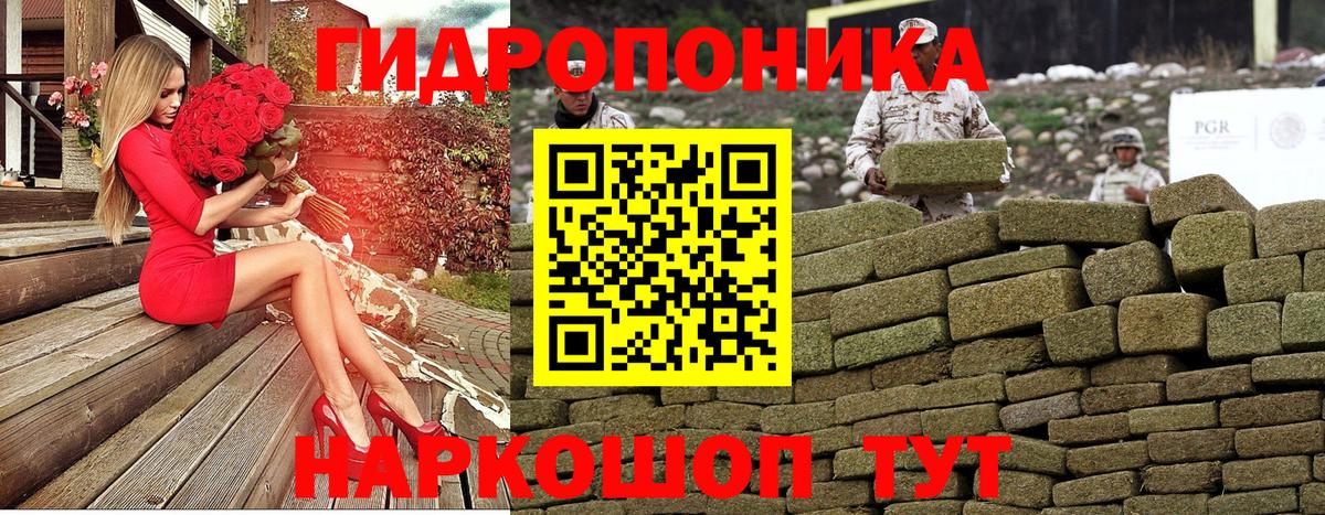 Конопля MAZAR Дербент